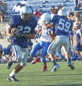 a running back carries the football in a game