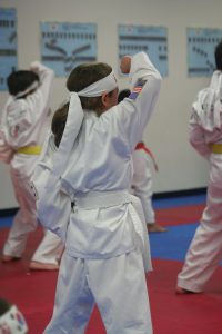 Martial Arts: picture of young girl doing taekwando forms