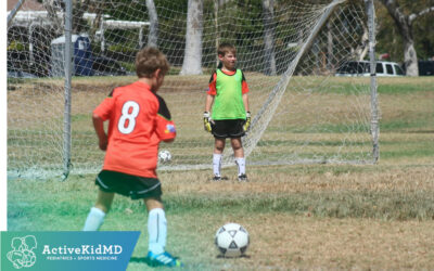 Should Soccer Goalkeepers Wear Helmets?